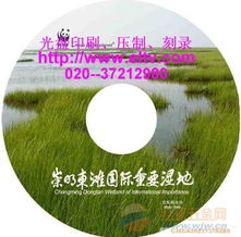 cd vcd dvd光盘印刷 压盘